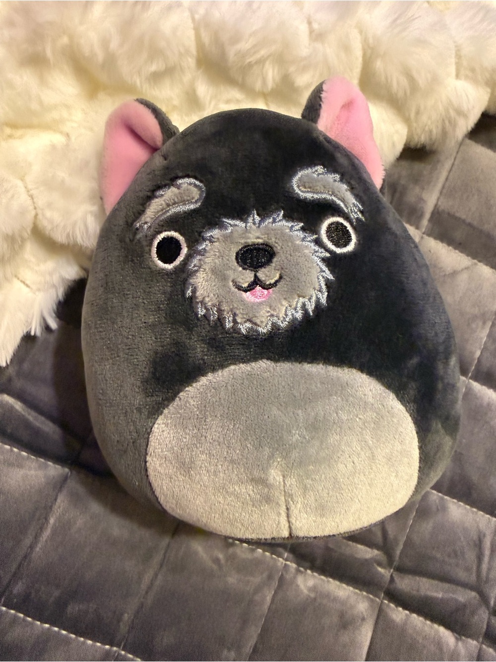Squishmallows Gray and Pink Schnauzer Plush
